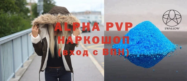 стафф Елизово