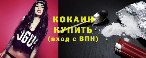 стафф Елизово