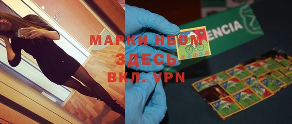 стафф Елизово