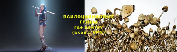 синтетический гашиш Ельня