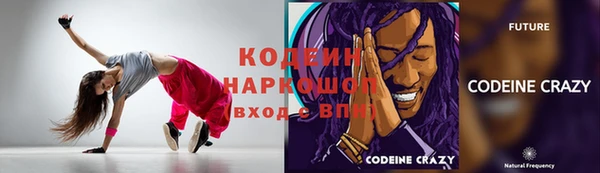 стафф Елизово