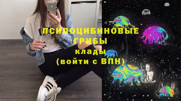 ПСИЛОЦИБИНОВЫЕ ГРИБЫ Елабуга