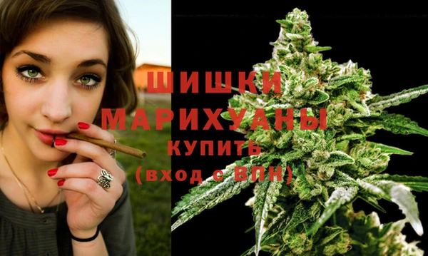 ПСИЛОЦИБИНОВЫЕ ГРИБЫ Елабуга