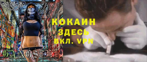 ПСИЛОЦИБИНОВЫЕ ГРИБЫ Елабуга