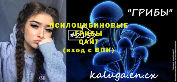 синтетический гашиш Ельня