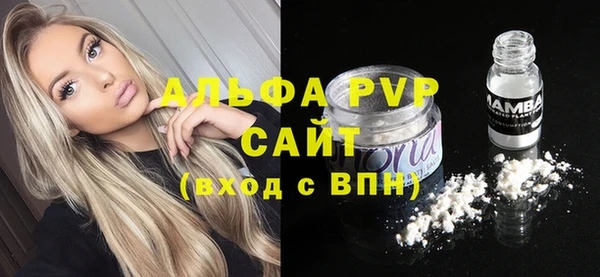 ПСИЛОЦИБИНОВЫЕ ГРИБЫ Елабуга