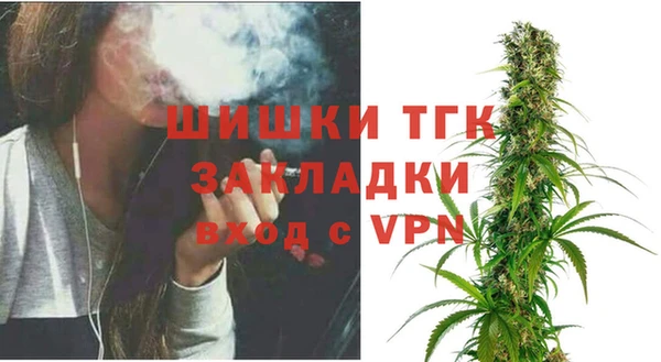 стафф Елизово