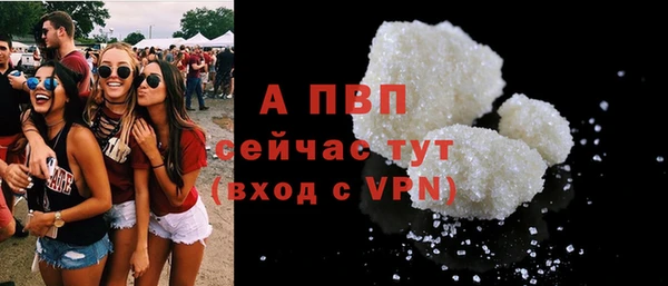 ПСИЛОЦИБИНОВЫЕ ГРИБЫ Елабуга