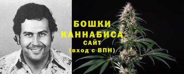 стафф Елизово